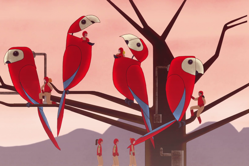 Short Shots: Panorama #3_2019