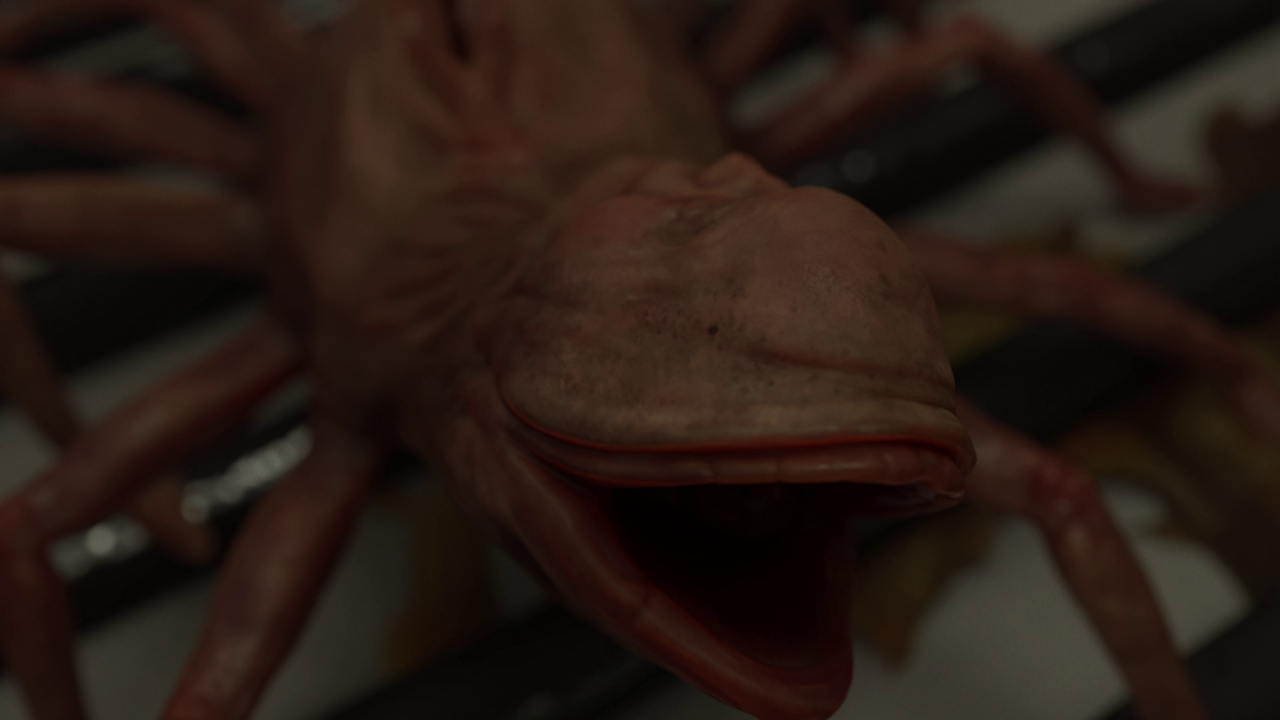 International Competition Program #10: Friday Extreme (18+)